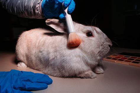 can animal testing be justified